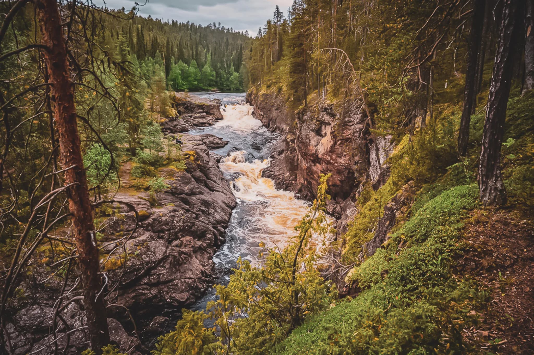 A tumultuous river meanders through a rocky valley surrounded by dense forests. The banks are lined with lush green trees that stand on steep cliffs. Fl