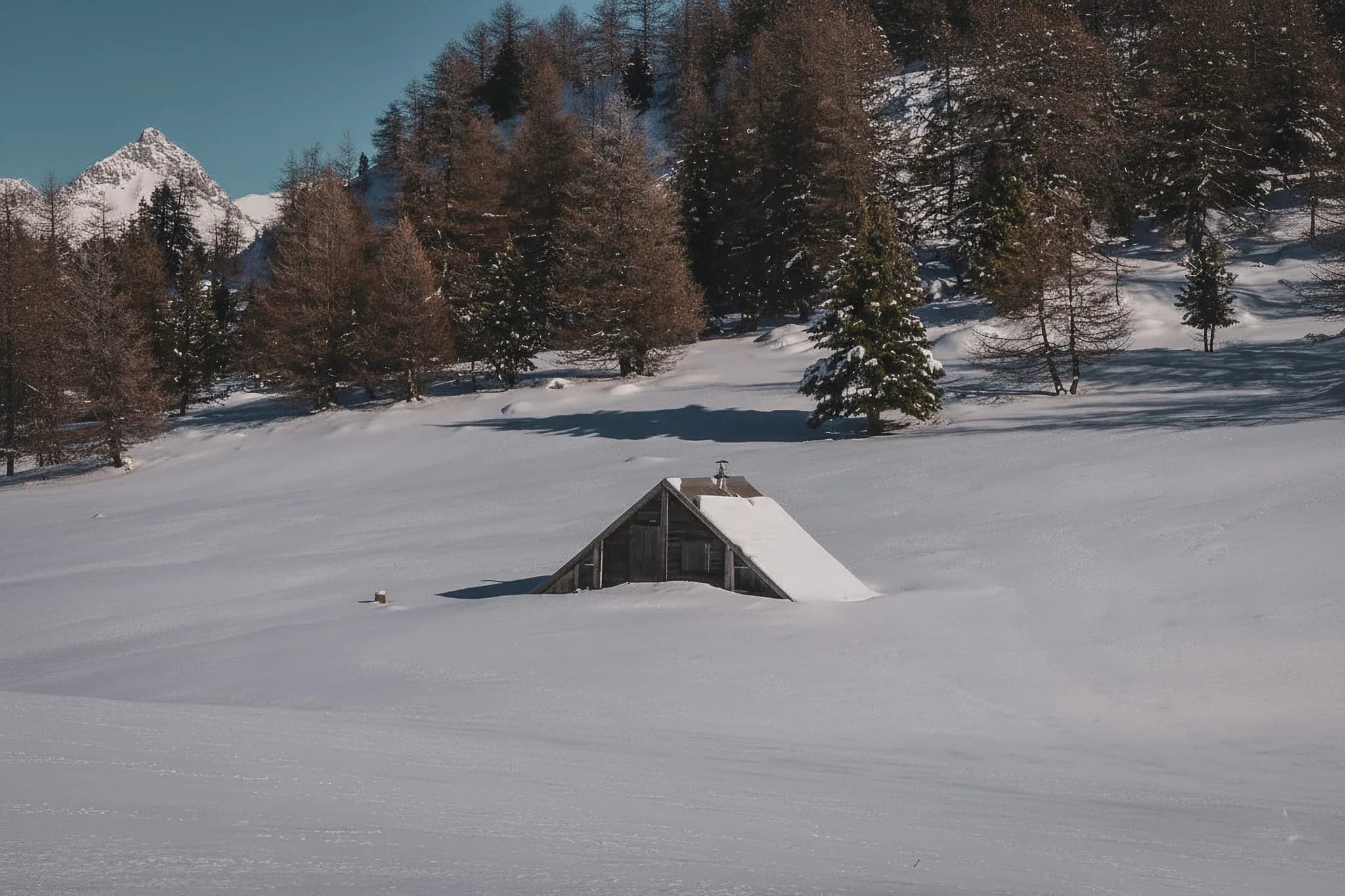 Une cabane en bois émerge d'un paysage hivernal enchanteur, entourée de majestueux sapins.