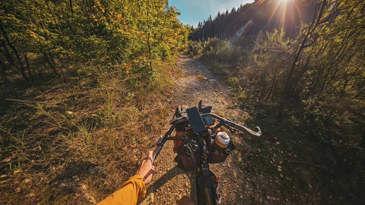 Cycling along a sunny forest path, an invitation to adventure in the Ardennes.