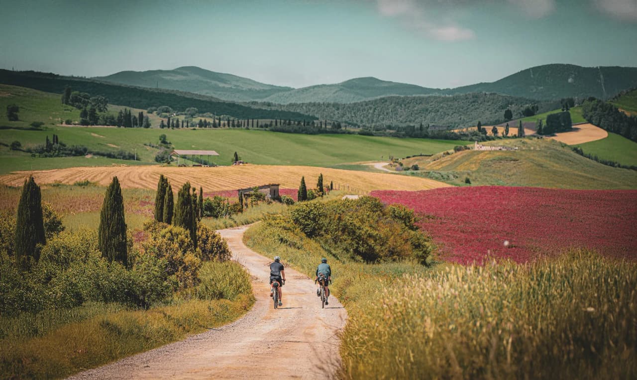 A winding dirt track cuts through picturesque countryside, with lush green hills in the background. Two cyclists pedal along, enjoying the vast golden fields and colourful landscapes that surround them.