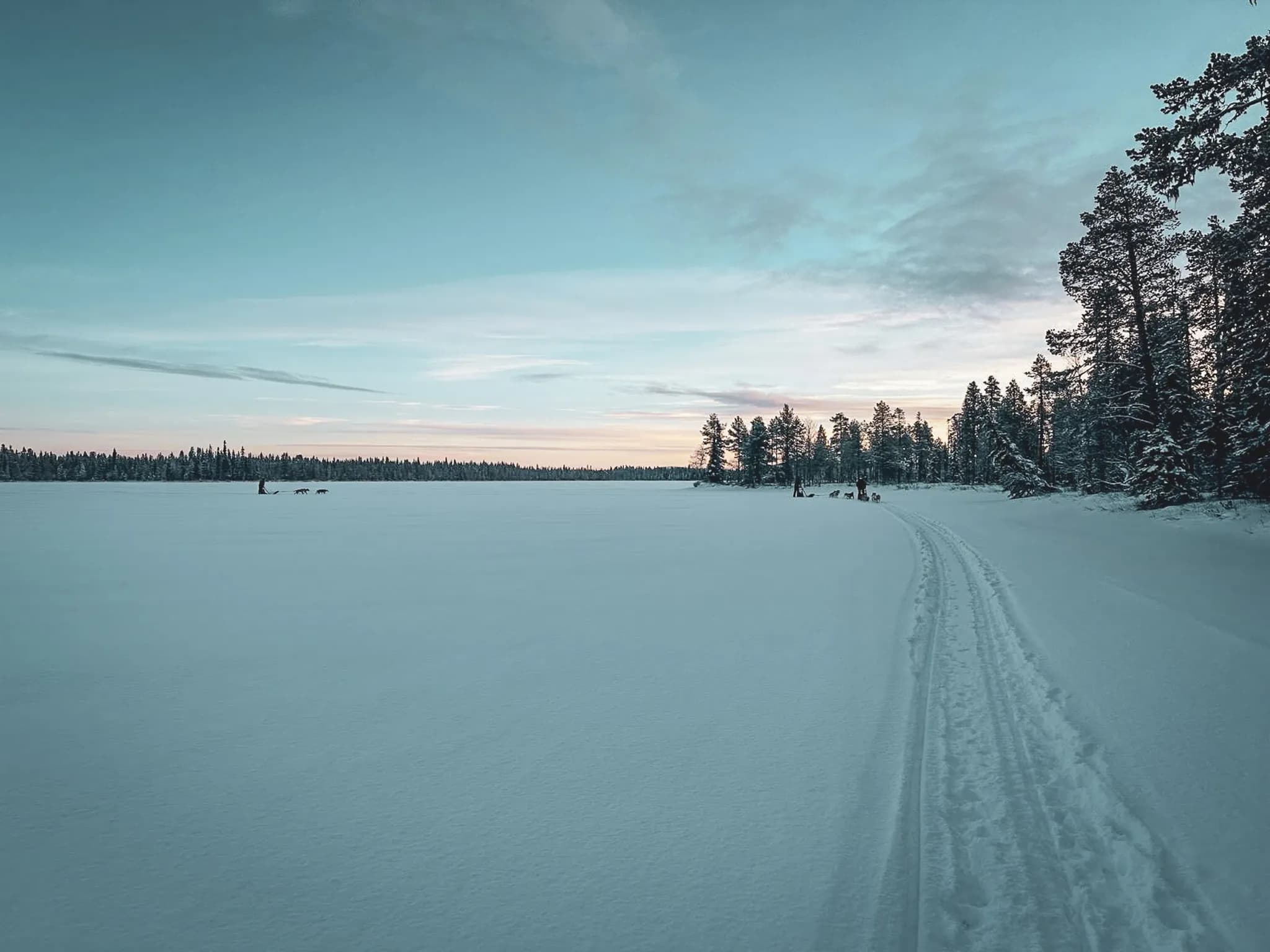 Het noorderlicht schijnt helder aan de nachtelijke hemel boven een hut in Lapland.
