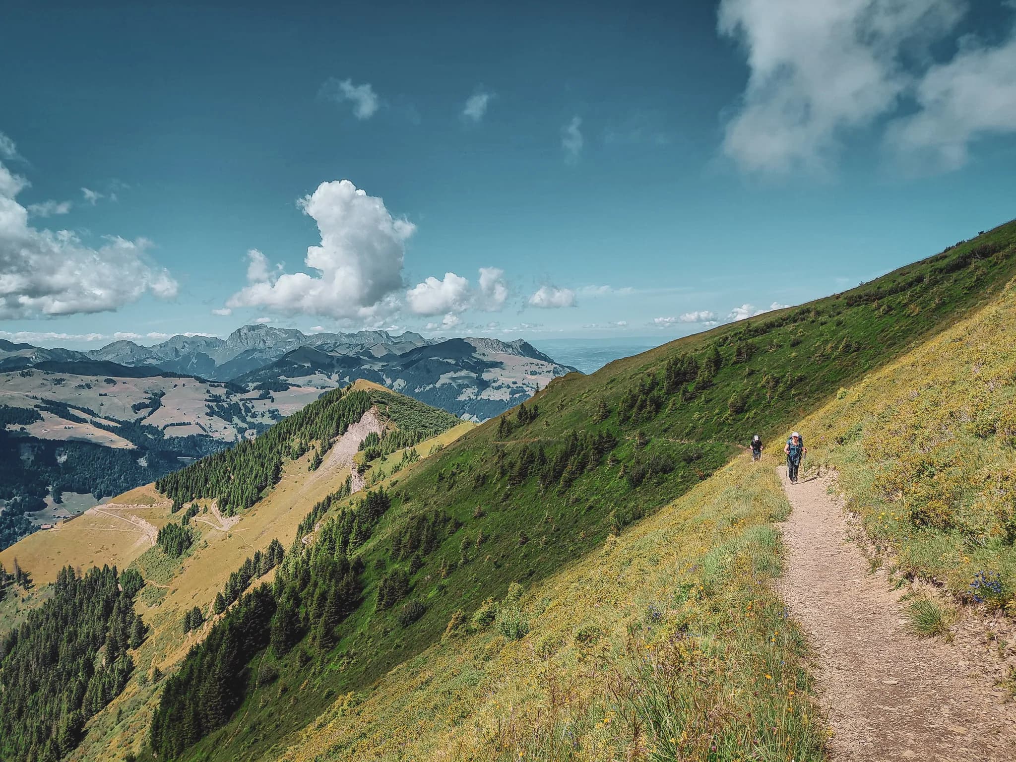 An Alpine landscape with majestic mountains in the background and a lush green valley below. A winding road crosses the slope, lined with tall grass and a few rocks. The mountain peaks are part of the landscape.