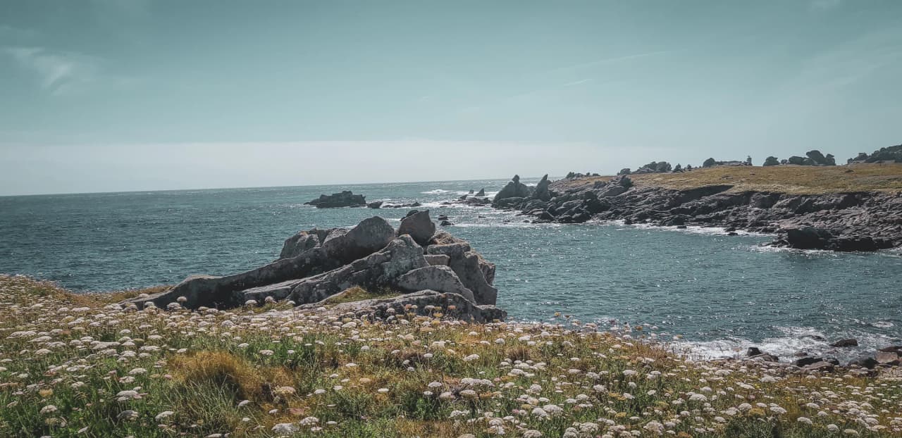 A landscape of the Molène archipelago, between rocks, blue sea and wild flowers, inviting adventure.