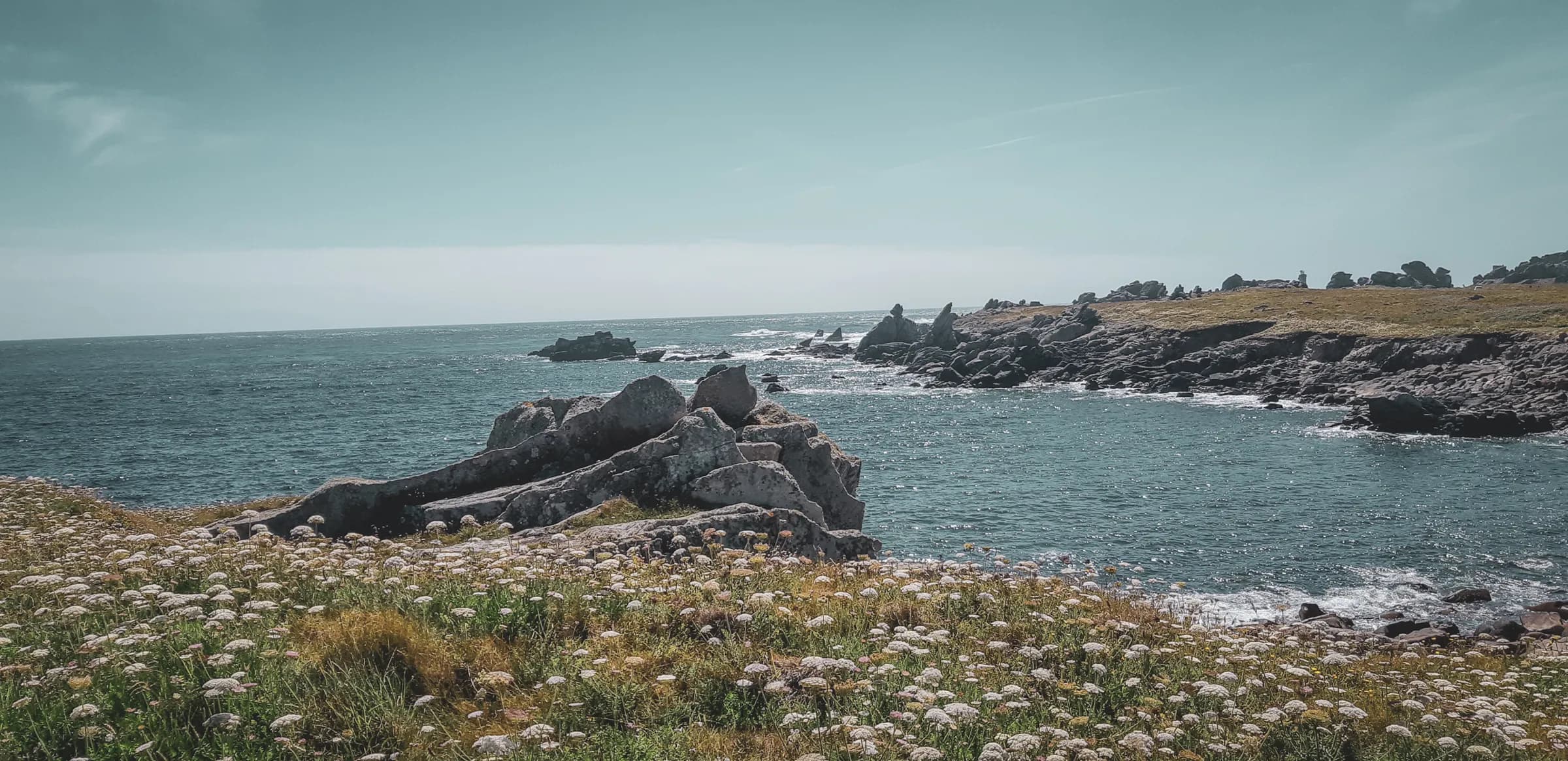 A landscape of the Molène archipelago, between rocks, blue sea and wild flowers, inviting adventure.