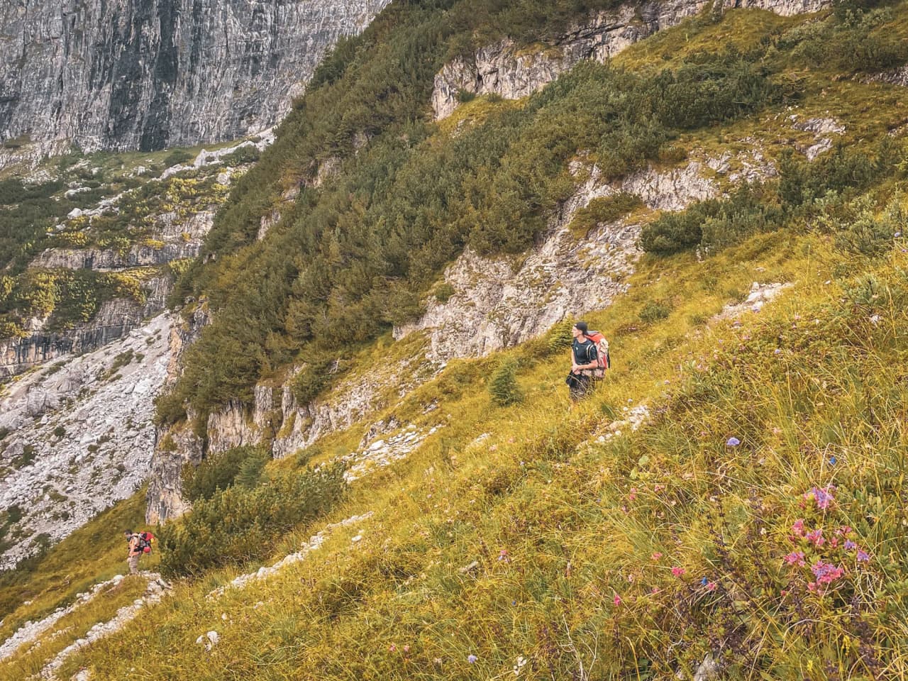 Hikers traversing verdant slopes, surrounded by majestic mountains.