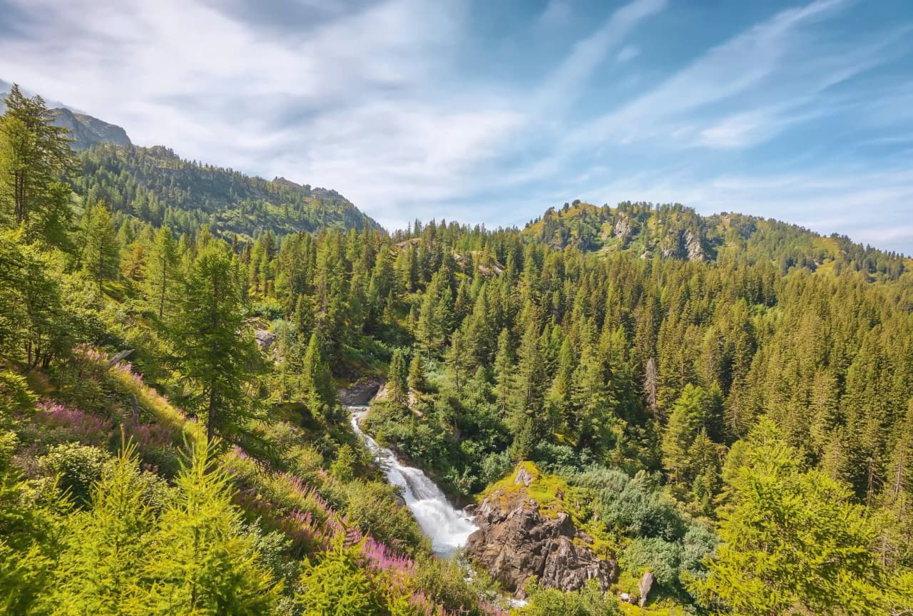 Un paysage alpin verdoyant avec des montagnes, un ruisseau et des fleurs, invitant à l'aventure.