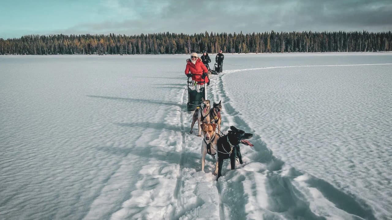 A group on snowshoes descend a frozen lake, pulled by sled dogs under a Nordic sky.