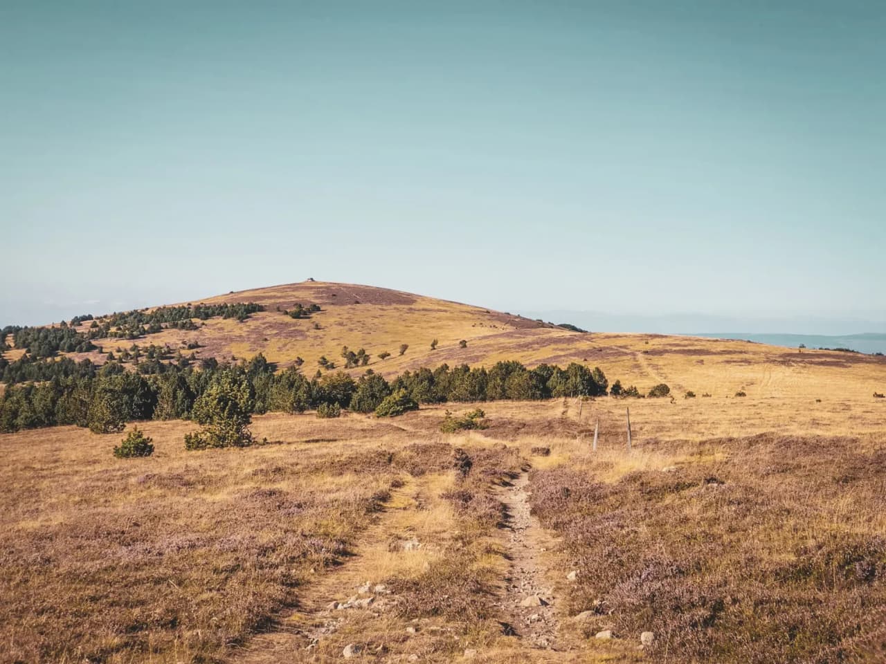 Een pad dat kronkelt door gouden heuvels en struiken, onder een serene hemel.