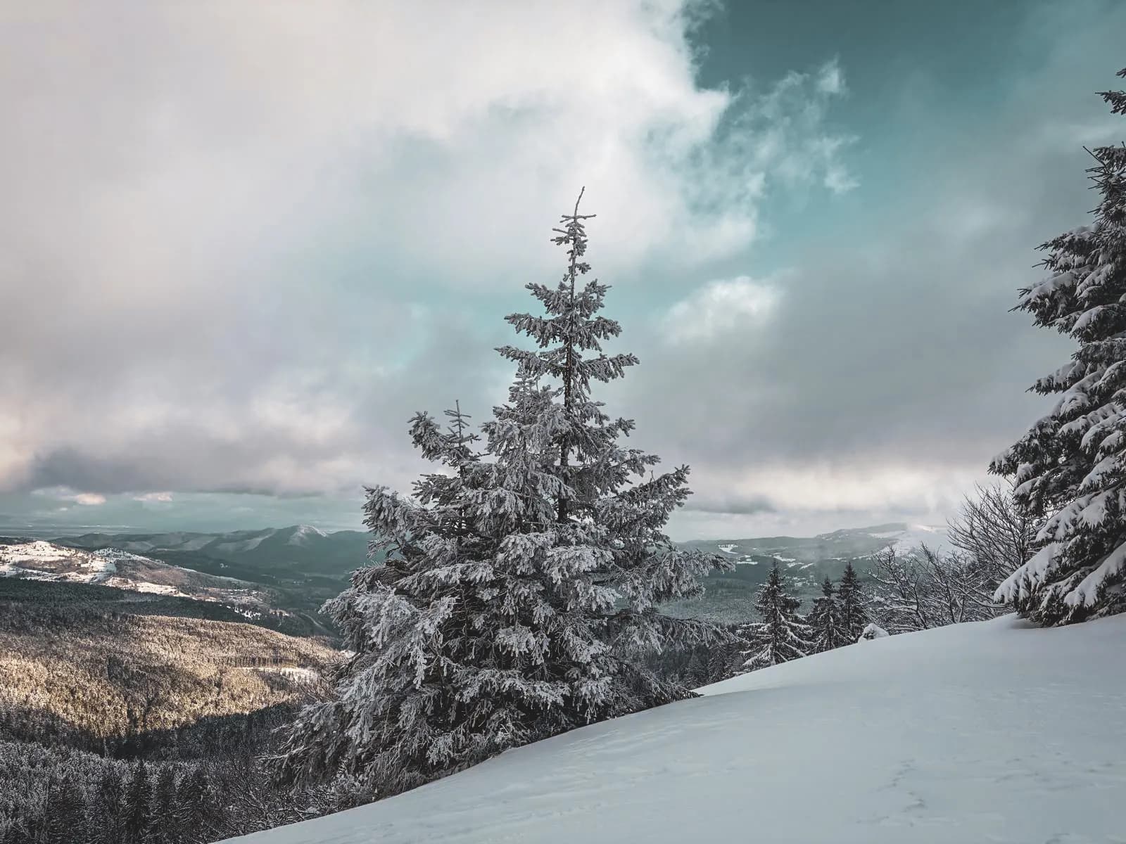 Un paysage enneigé des Vosges, arbres recouverts de neige, ciel nuageux, appel à l'évasion.