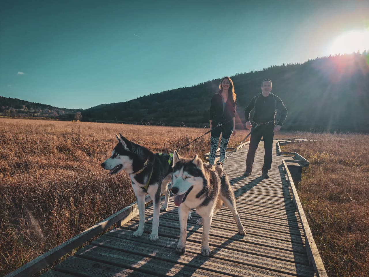 Two hikers, accompanied by huskies, walk along a wooden path through the heart of the Jura countryside.