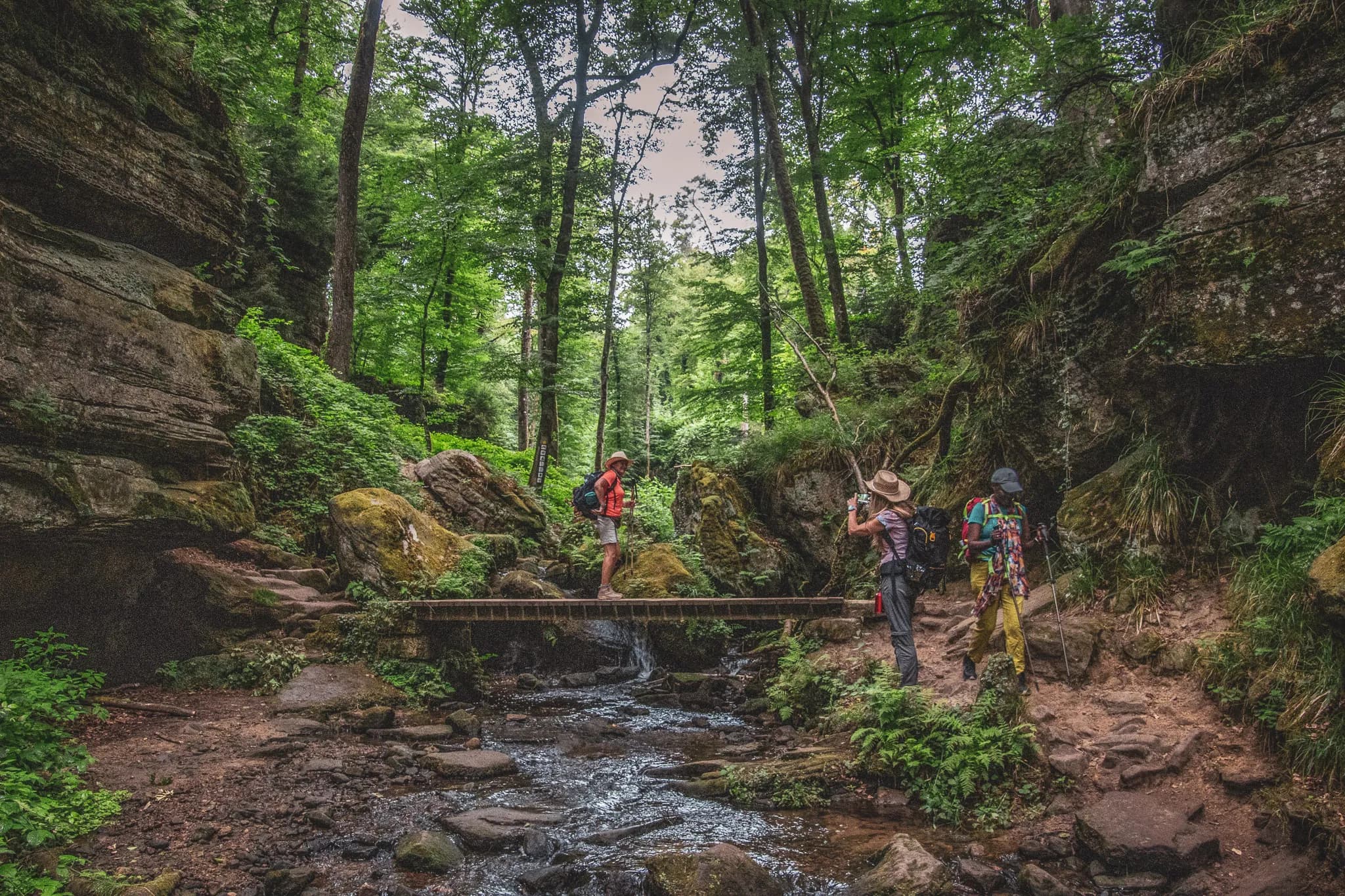 Hikers exploring magical trails in Luxembourg's Little Switzerland, surrounded by nature.
