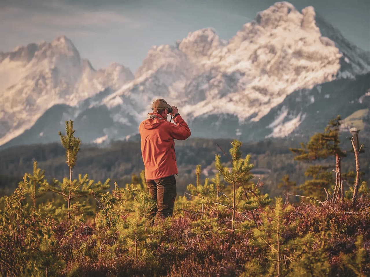 A man in a red jacket looks out over the majestic snow-capped mountains of the Écrins, surrounded by greenery.