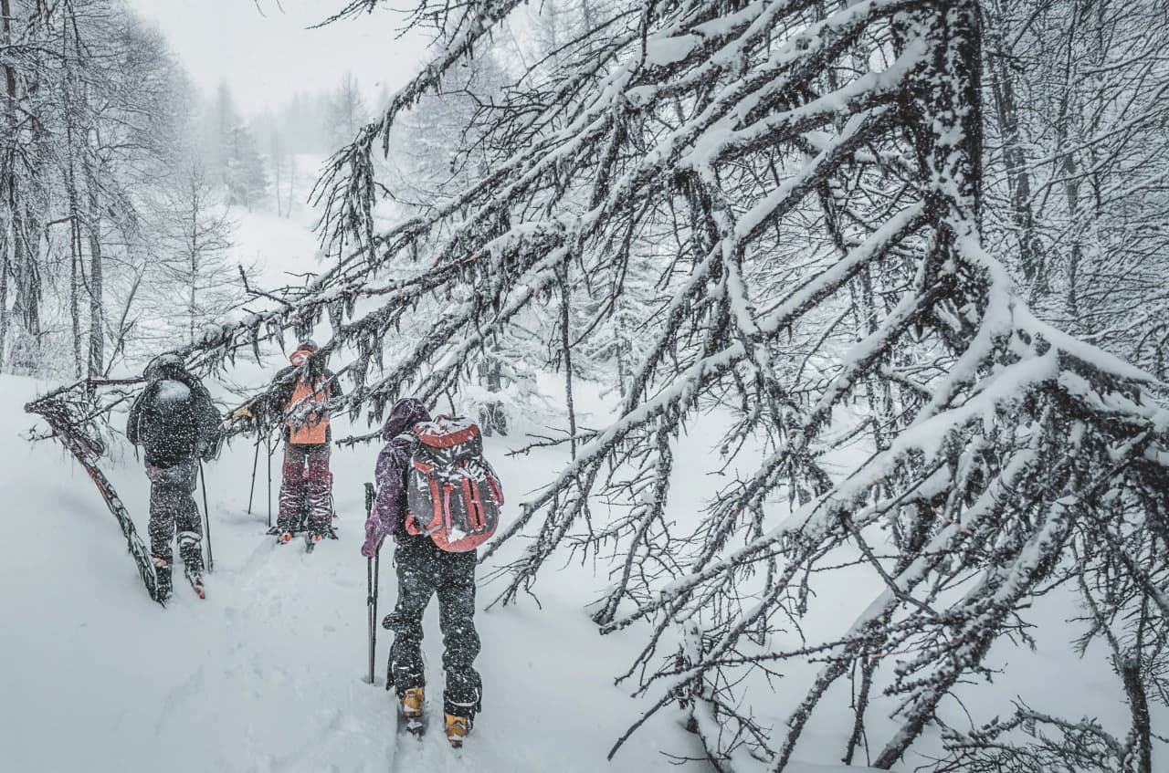 Trois randonneurs en ski avancent sous la neige, entourés de branches enneigées. Aventurez-vous dans le Queyras !