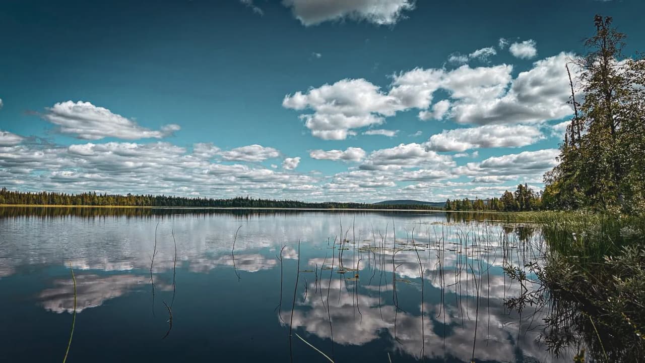 Wolken weerspiegeld in een vredig meer omringd door weelderige groene bossen in Lapland.