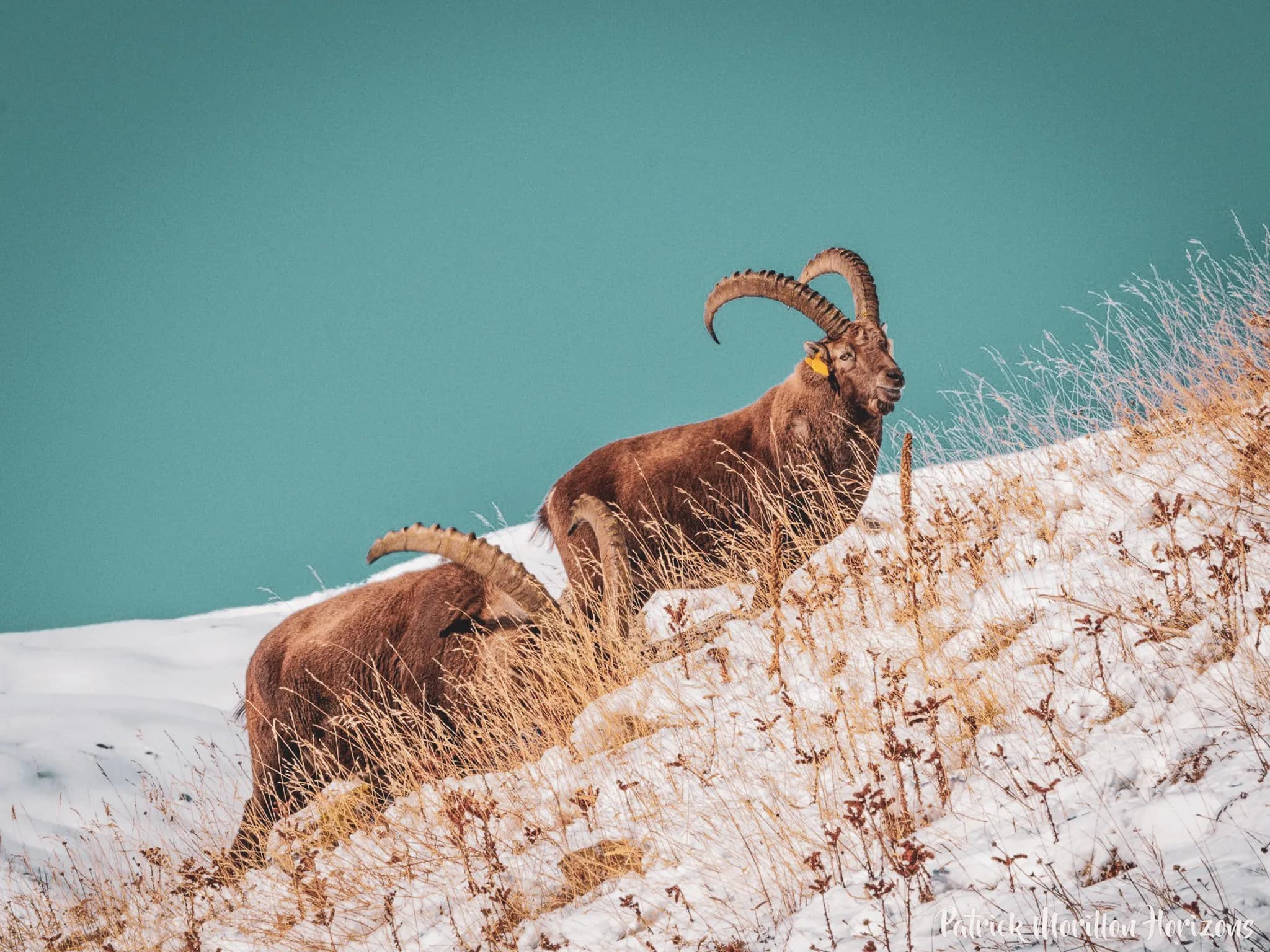 De Fontenil vallei in de Meije regio tijdens een Wildhartt expeditie.