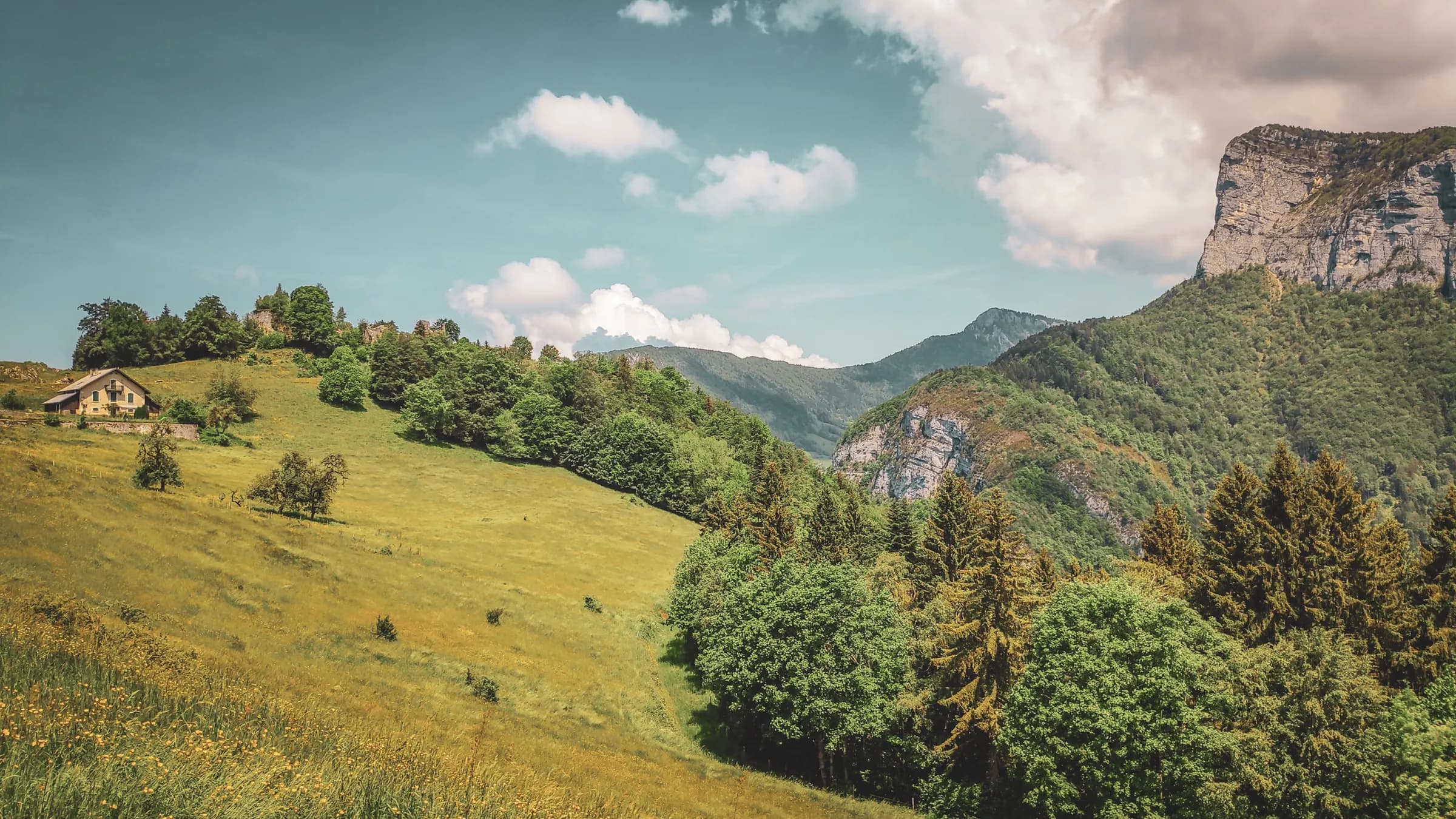 Un paysage verdoyant des montagnes de Chartreuse, avec des alpages et une maison pittoresque.