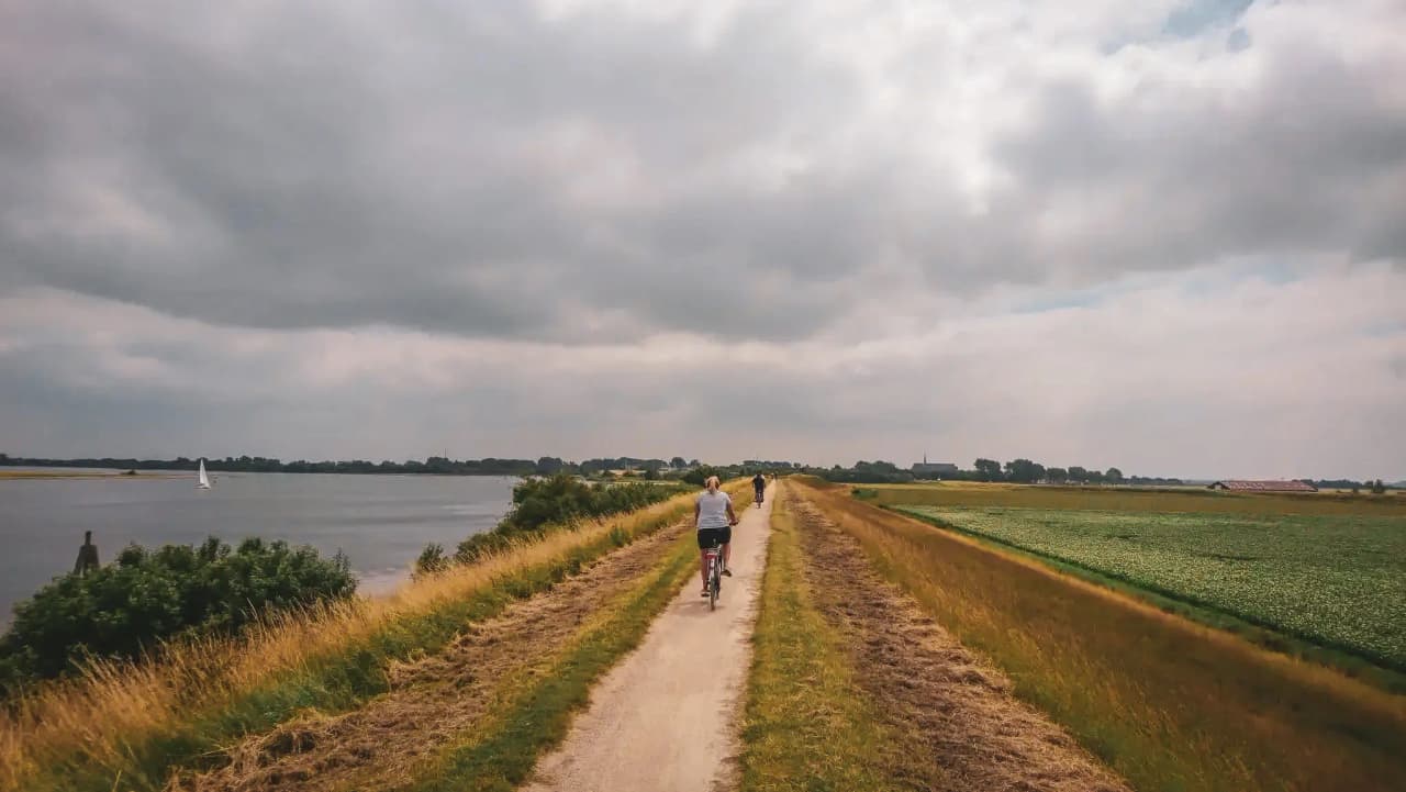 Cyclists by the sea in the Netherlands