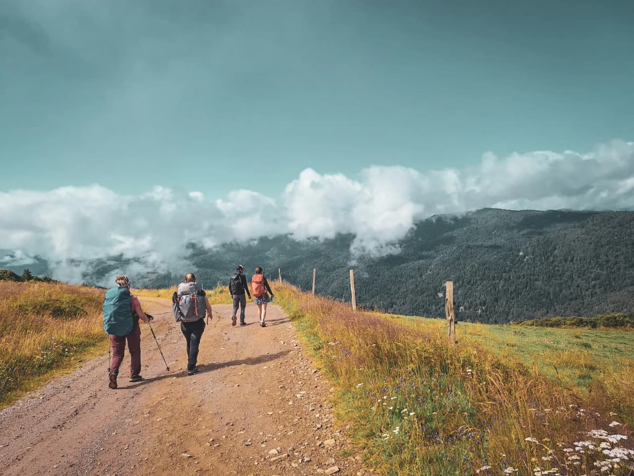 Quatre randonneurs cheminent sur un sentier ensoleillé, entourés de paysages verdoyants et de nuages.
