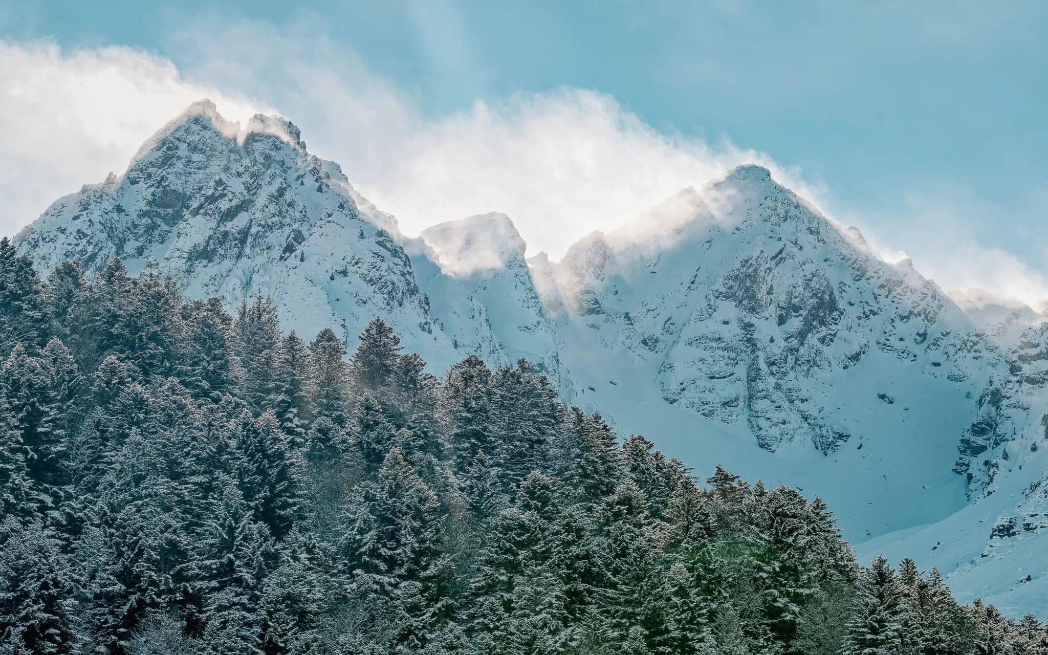 Snow-capped mountain scenery, with majestic peaks emerging from lush green forests.
