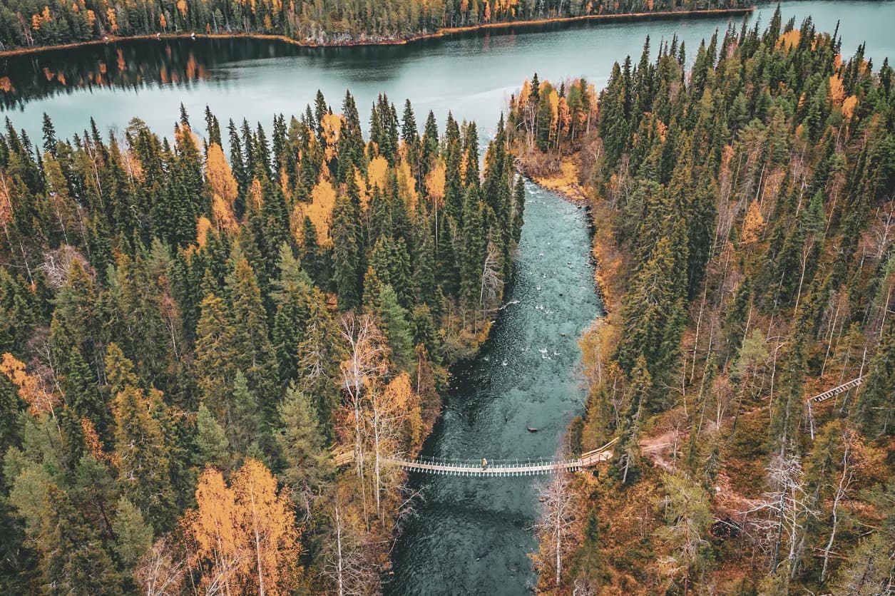 An enchanting landscape of the Oulanka rivers, with colourful forests and a suspension bridge.