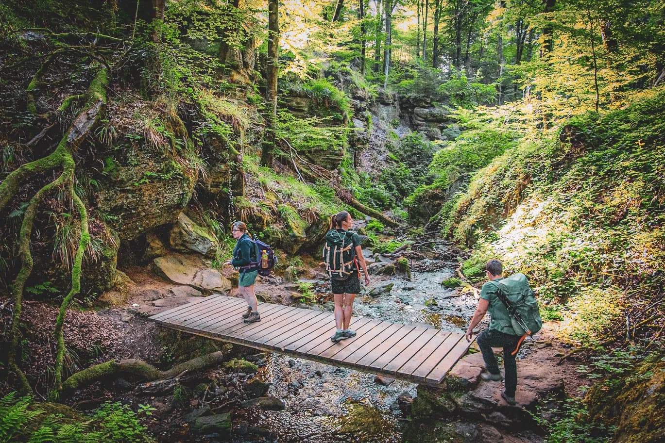 A forest path lined with green trees and rocks. Three hikers cross a small stream on a wooden bridge. The sunlight filters through the foliage, creating