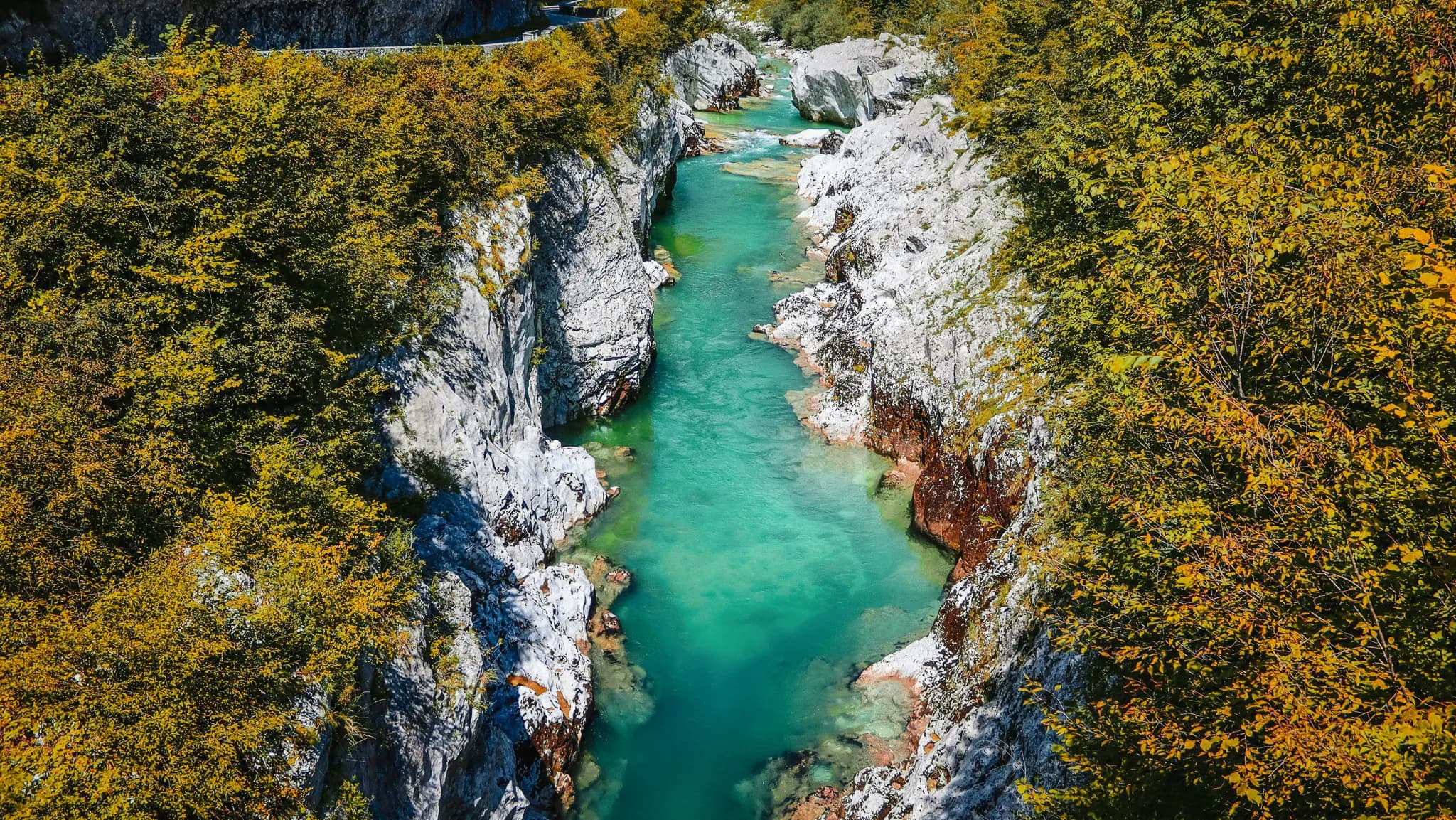 A narrow canyon with grey rocks and steep walls frames a river with turquoise waters. Colourful vegetation, with shades of yellow and green, thrives on the banks, while reflections of