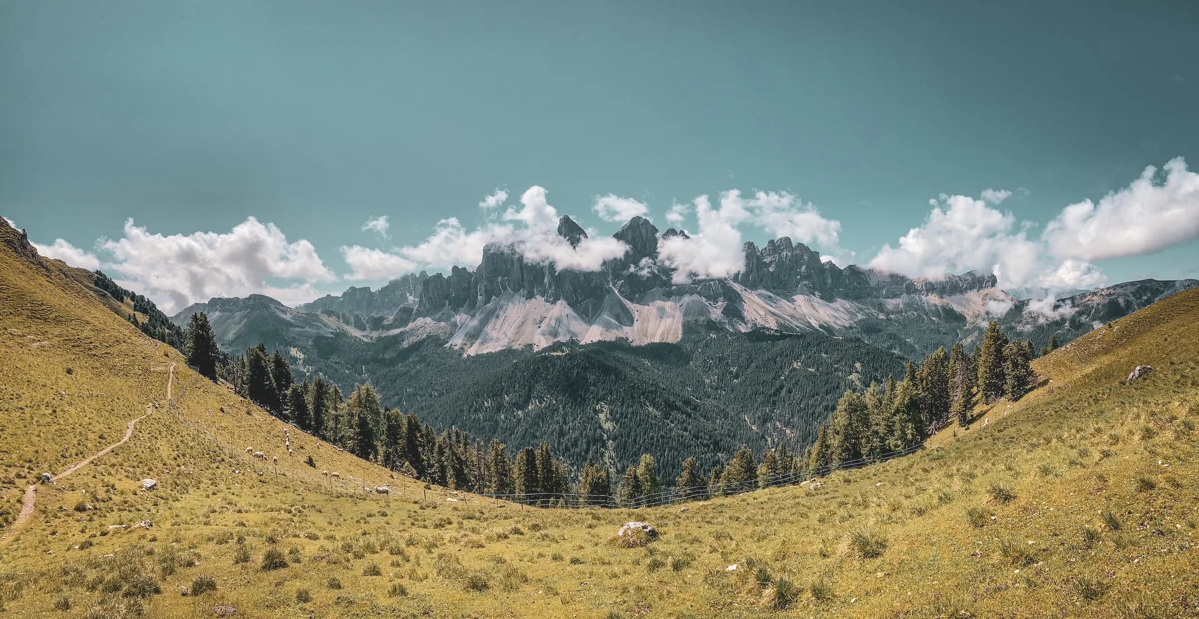 A spectacular mountain landscape, with majestic cloud-covered peaks, stretches to the horizon. The valley is lush green, dotted with meadows and fir trees, while a path