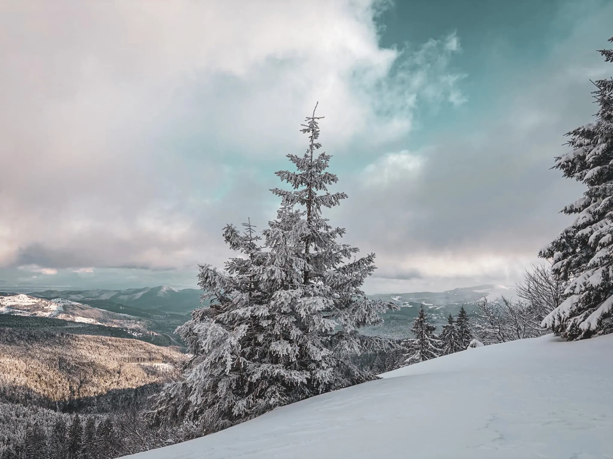 Een besneeuwd berglandschap met besneeuwde dennenbomen. De scène wordt gekenmerkt door een uitgestrekt bos en heuvels op de achtergrond, onder een bewolkte hemel met blauwe tinten.