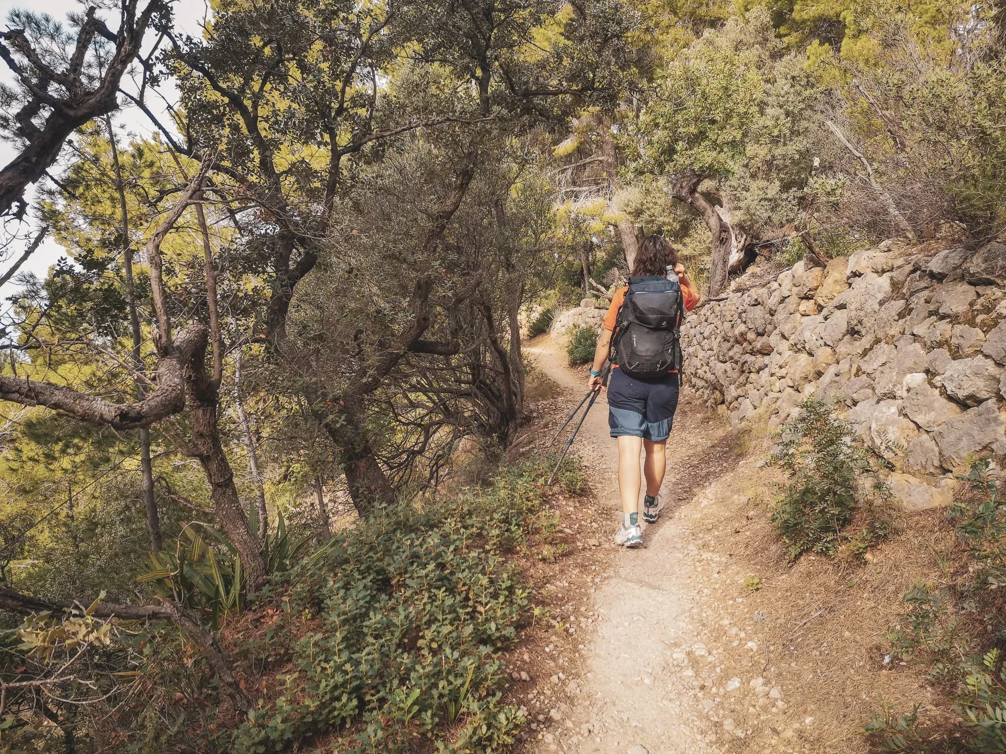 A hiker walks along a winding tree-lined path in the Serra de Tramuntana, Mallorca.