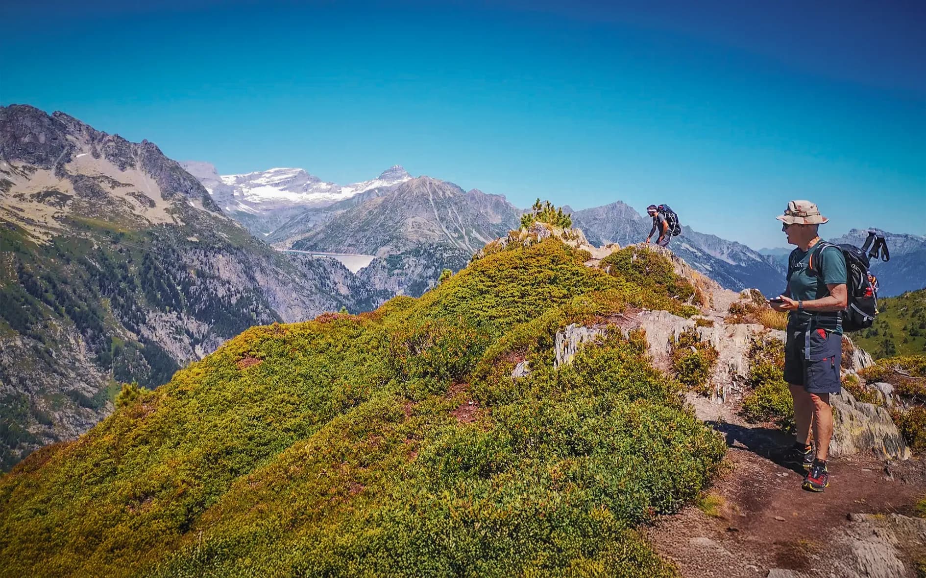 A captivating mountain landscape, with lush green slopes covered in brightly coloured bushes. In the background, majestic peaks, some crowned with snow, rise beneath a