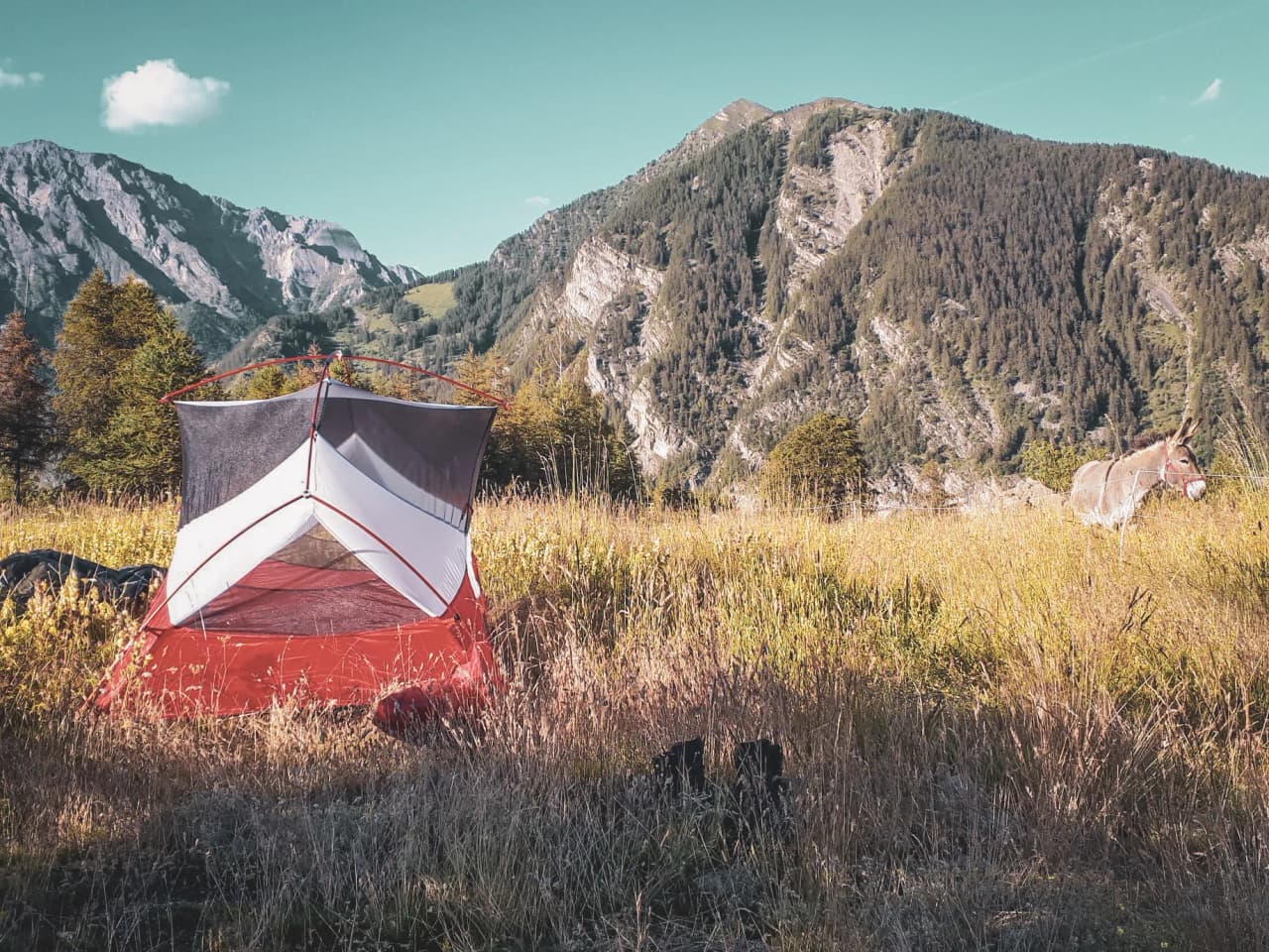 Colourful tent in an alpine field, peaceful donkey and majestic mountains in the background.