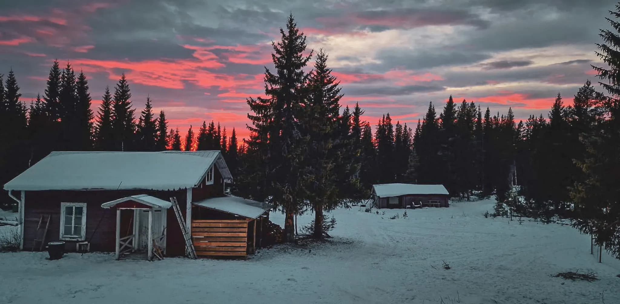 Een stuk smetteloze sneeuw in Lapland, silhouetten van honden en een pastelkleurige lucht in de schemering.