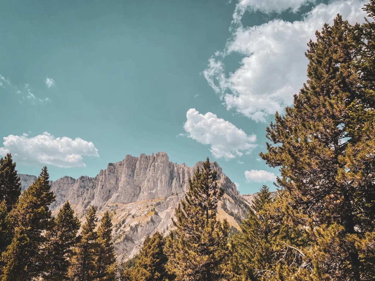 Majestic view of Mont Aiguille, surrounded by pine trees, under a blue sky dotted with clouds.