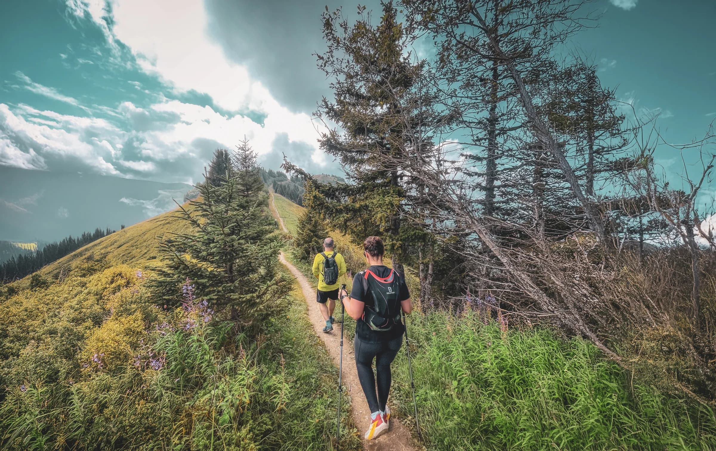 A green path stretches along a hillside, lined with conifers and flowering bushes. Two hikers make their way along the winding path, one in a black t-shirt and the other in a red one.