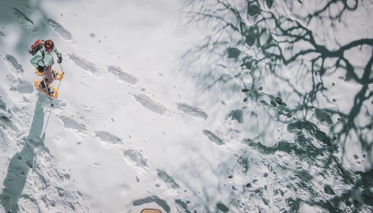 Une personne en raquettes traverse la neige immaculée, sous un ciel lumineux et des arbres en ombre.
