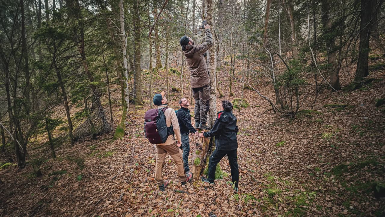 Boswandelingen met vrienden, natuuractiviteiten en teamgeest, een authentieke scène van buitenavontuur en menselijke verbinding in het hart van de natuur.