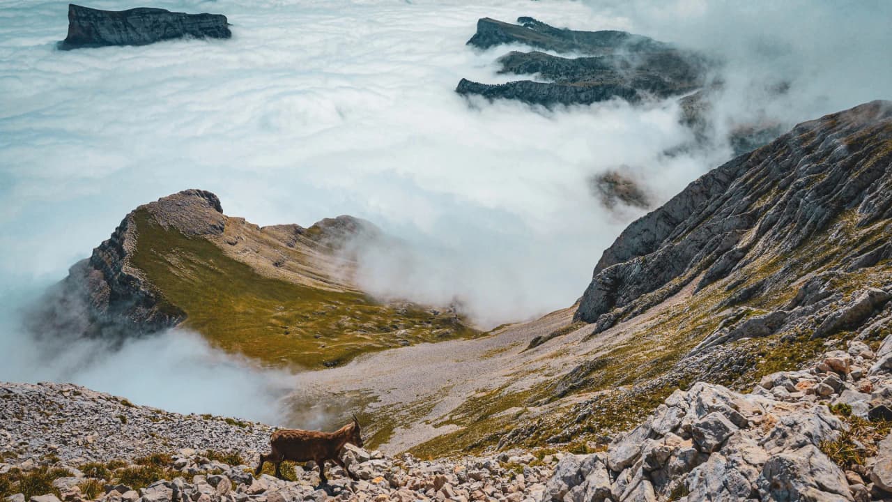Un panorama majestueux du Vercors : roches, verdure et brume flottante, invitant à l'aventure.
