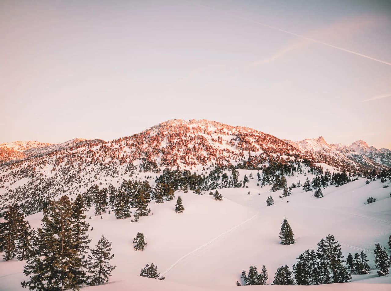 Montagnes enneigées au lever du soleil, avec des forêts de sapins et un paysage paisible.