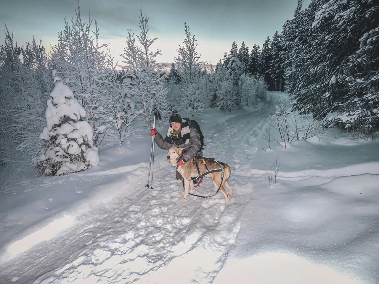 Homme et son chien dans les paysages enneigés de Laponie
