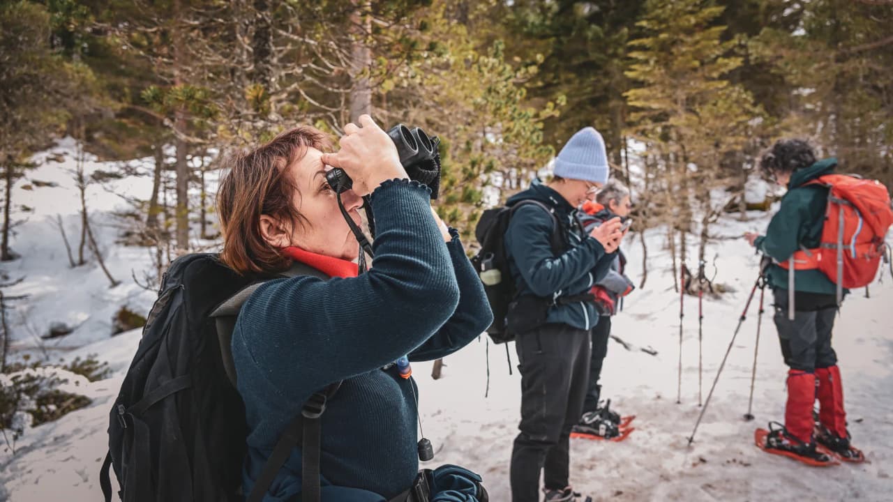 A group on a snowshoe hike in the Pyrenees, observing nature through binoculars.