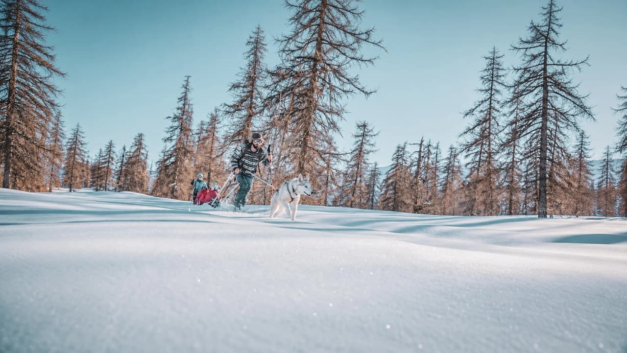 Een avonturier op sneeuwschoenen loopt door een besneeuwd landschap, vergezeld door een hond, onder een blauwe hemel.