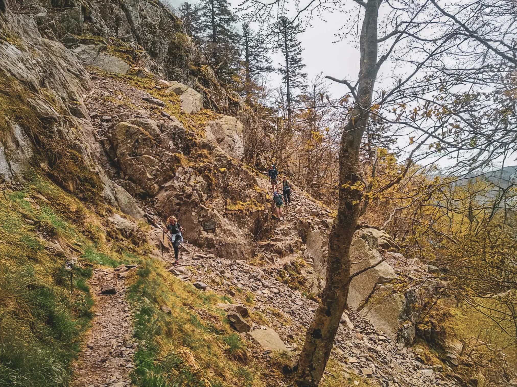 A group of hikers on a rocky mountain trail, surrounded by lush greenery.