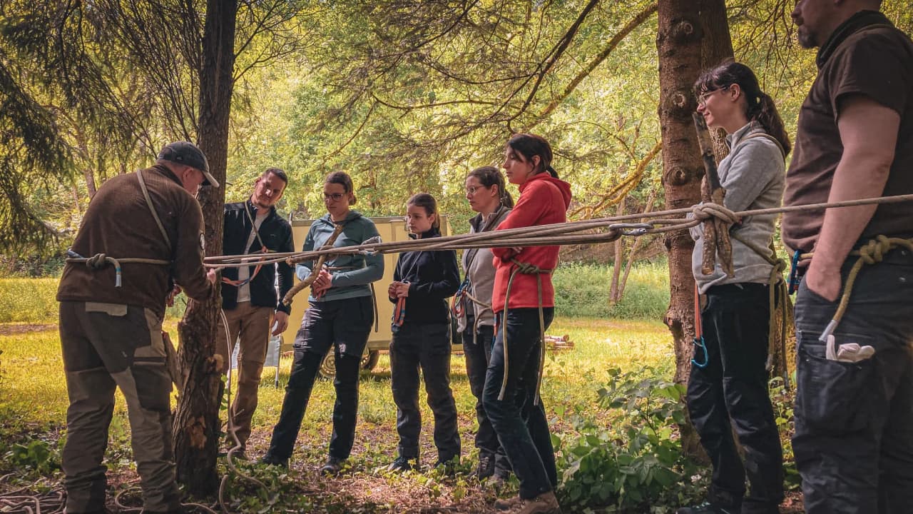 Groupe en pleine apprentissage de techniques de survie en forêt, sous un soleil radieux.