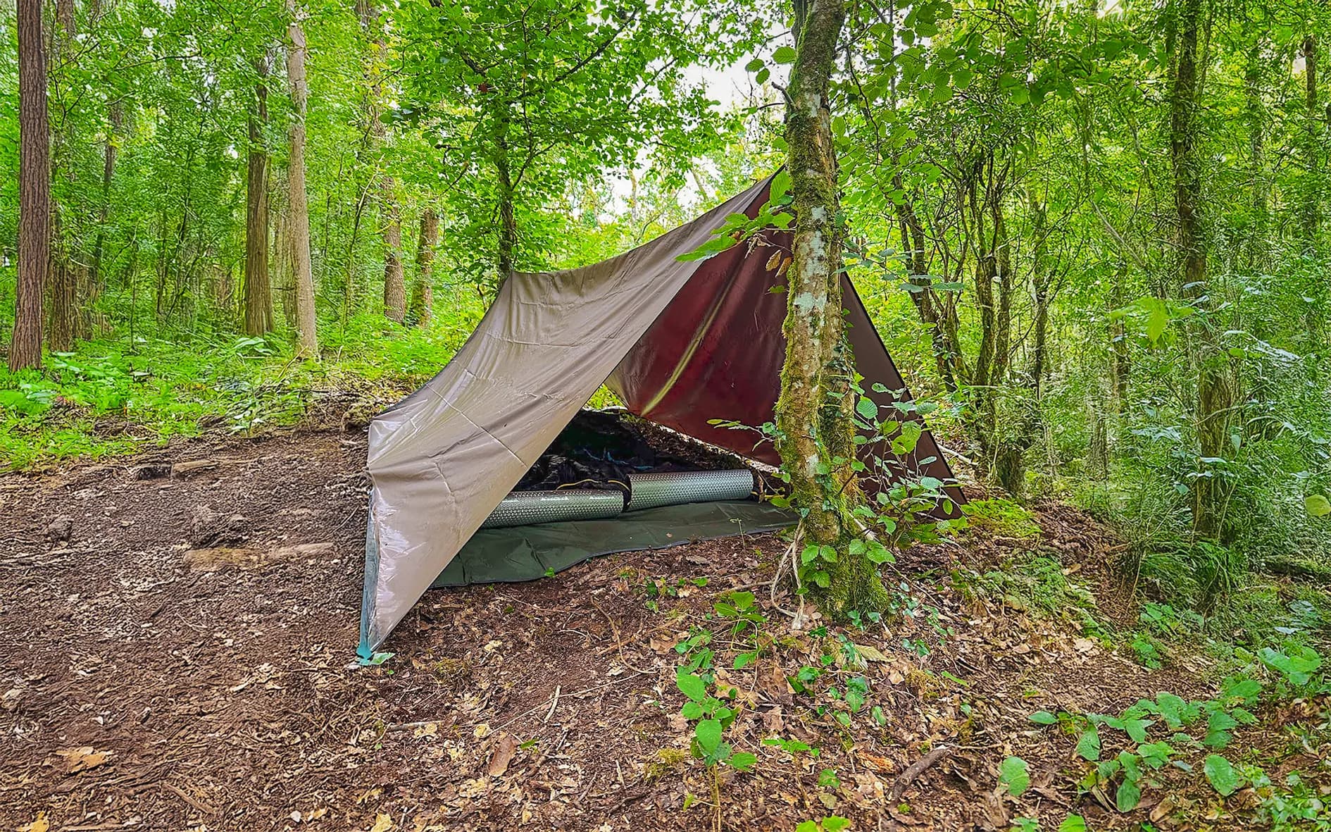 Een survivaltent in de weelderige bossen van de Belgische Ardennen, een uitnodiging tot avontuur.