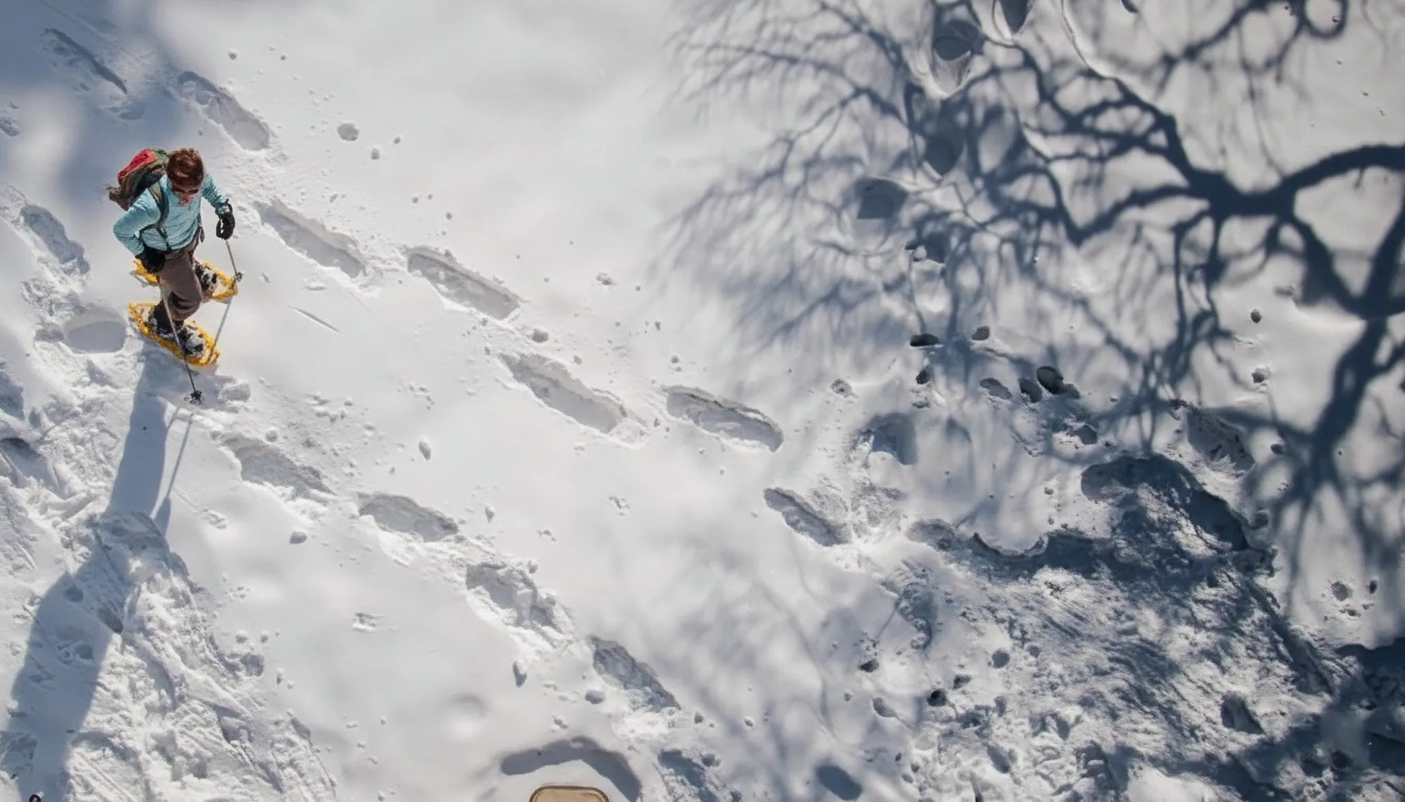 Randonneur en raquettes sur la neige scintillante, ombres d'arbres en arrière-plan. Évasion hivernale!