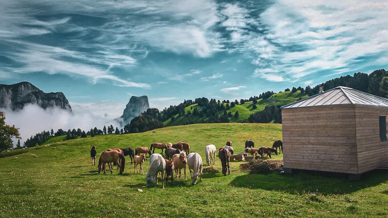 Un paysage verdoyant du Vercors avec des chevaux paissant et un abri en bois sous un ciel bleu.