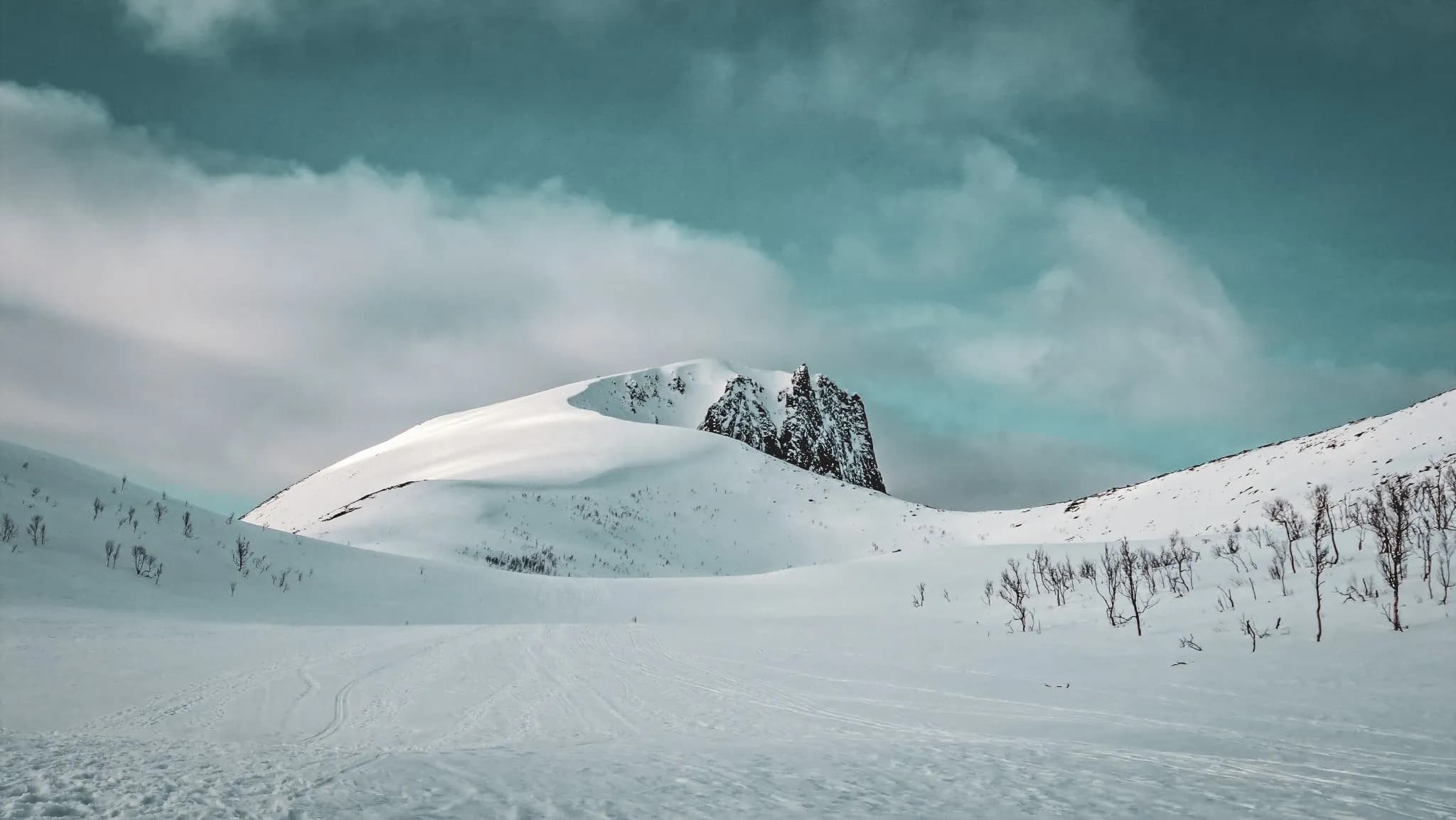 Explore the magical landscapes of Senja: snow-capped mountains and majestic fjords.