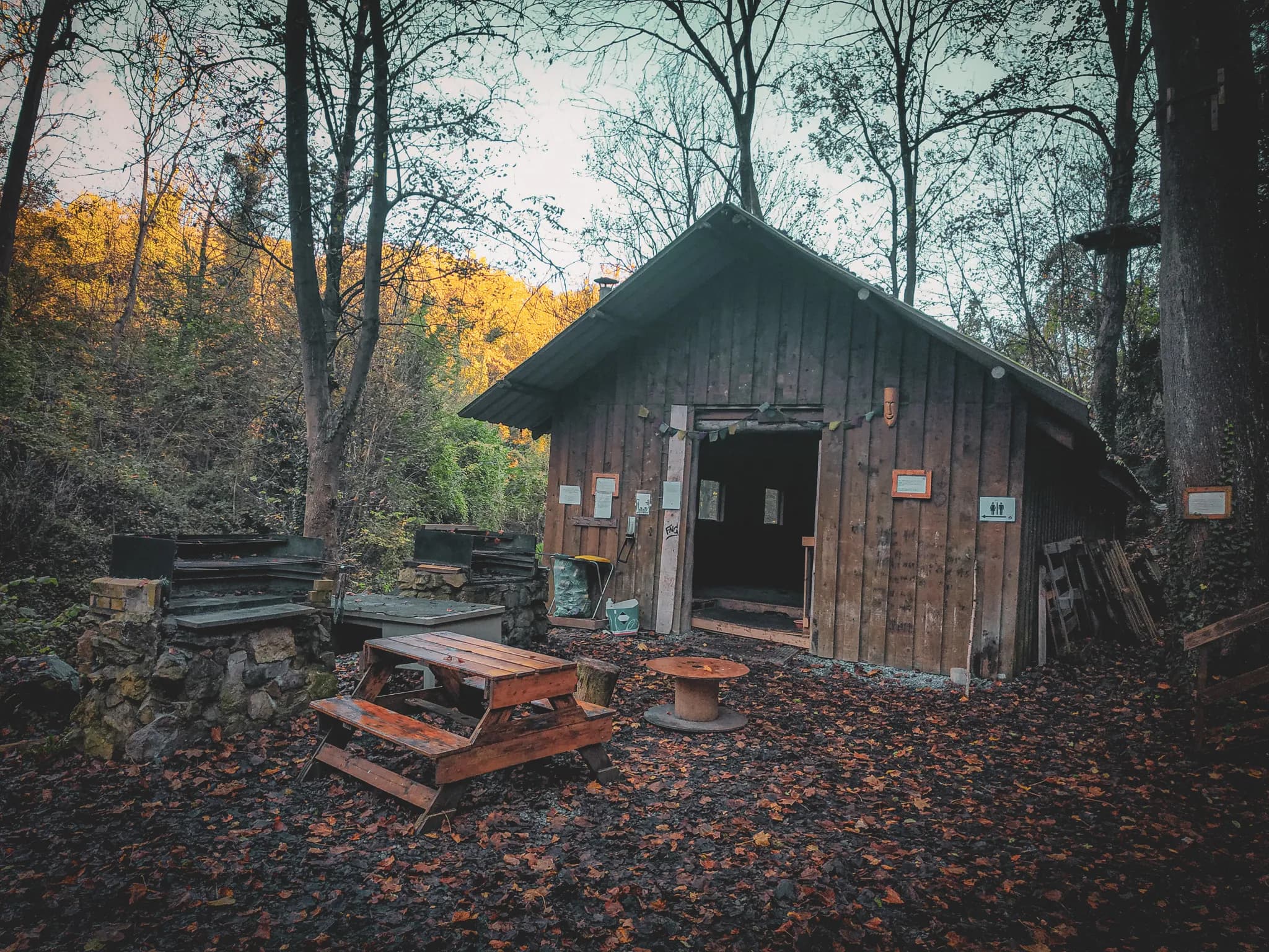 A wooden chalet in a wooded area, surrounded by autumn-coloured trees. Fallen leaves cover the ground. At the front, a wooden picnic table sits on a plinth.