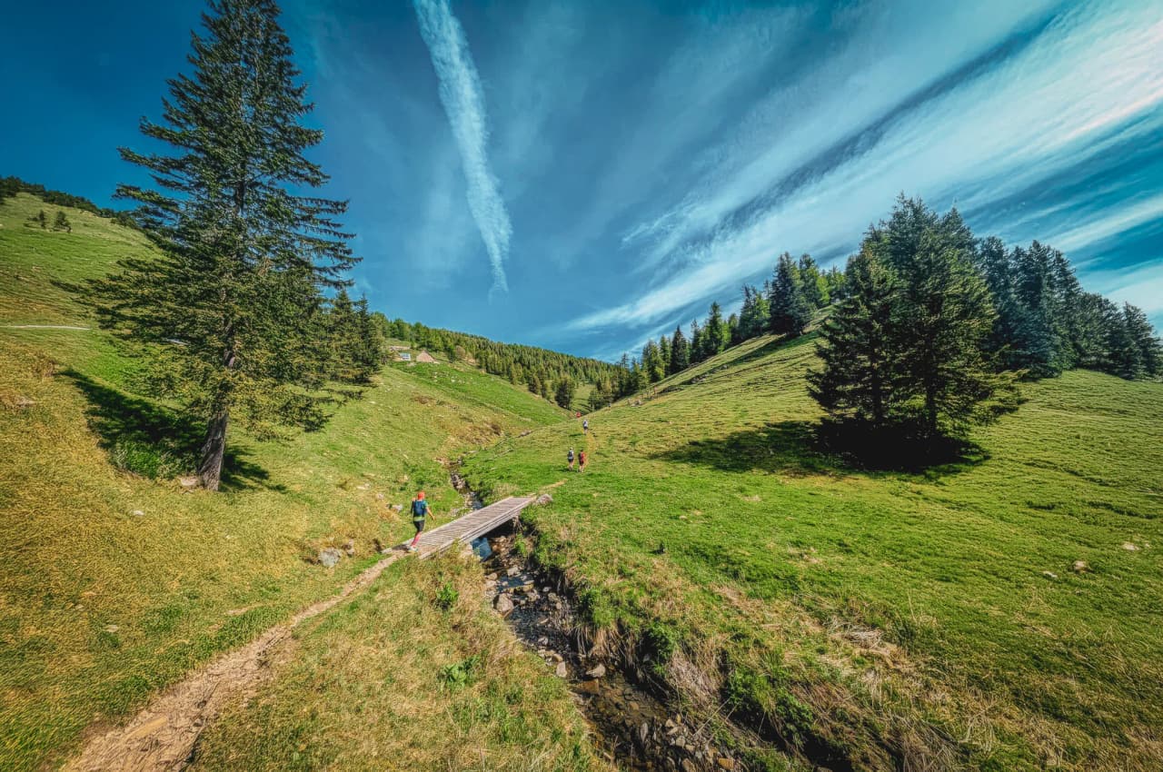 Un sentier verdoyant en montagne, avec des coureurs traversant un ruisseau sous un ciel bleu lumineux.