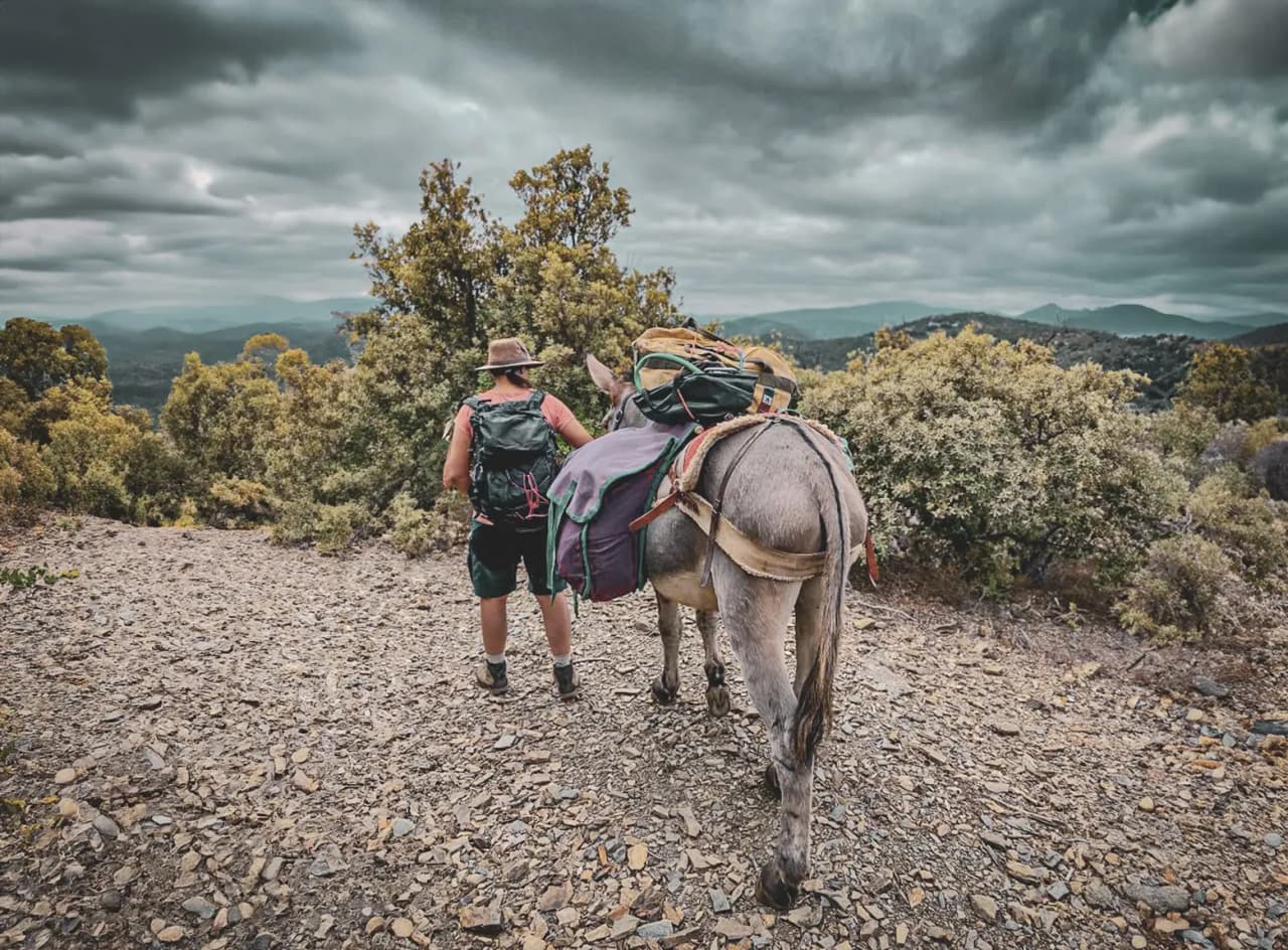 Wandelen met een ezel over een steil pad, onder een dramatische hemel, in het hart van de Cevennen.